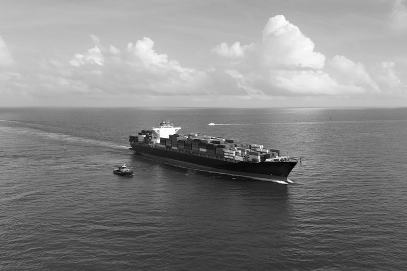 Orchid Shipping